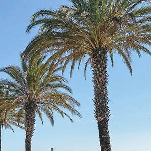 https://studio-plage.catalonia-hotels.com